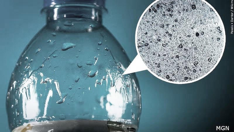 How Dangerous Are Plastic Bottles for Our Health? â€“ eKodoKi